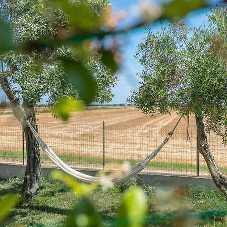 Ortopi Country Canapa House Porto Recanati Exterior foto