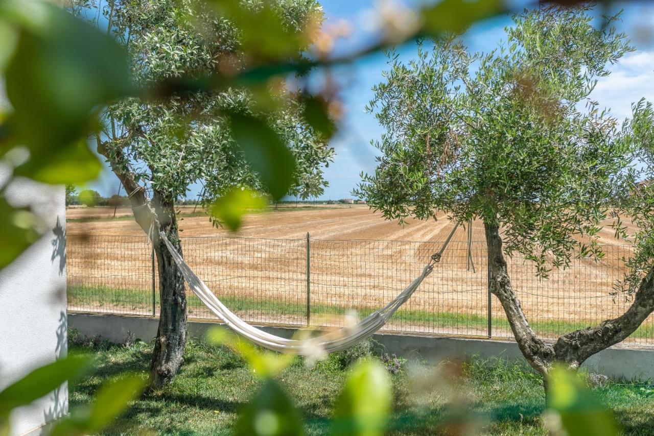 Ortopi Country Canapa House Porto Recanati Exterior foto